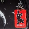 Рюкзак школьный GRIZZLY RAz-587-16/1 черный