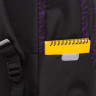Рюкзак Grizzly с обвесом RD-640-3/2 черный - фиолетовый
