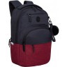Рюкзак Grizzly RD-341-2/2 черный - красный
