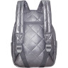 Рюкзак Grizzly с обвесом RXL-629-1/4 серый - глянцевый