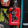 Рюкзак школьный Grizzly RAz-387-6/1 динозавры