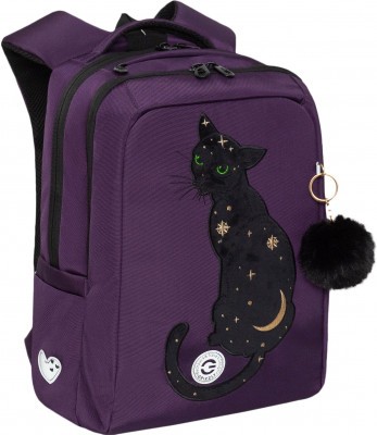 Рюкзак школьный GRIZZLY RG-466-6/1 фиолетовый