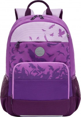 RG-264-21 Рюкзак школьный (/2 фиолетовый)