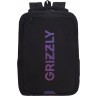 Рюкзак GRIZZLY RU-534-2/1 черный - черный