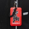 Рюкзак школьный GRIZZLY RAf-593-6/2 чёрный - чёрный