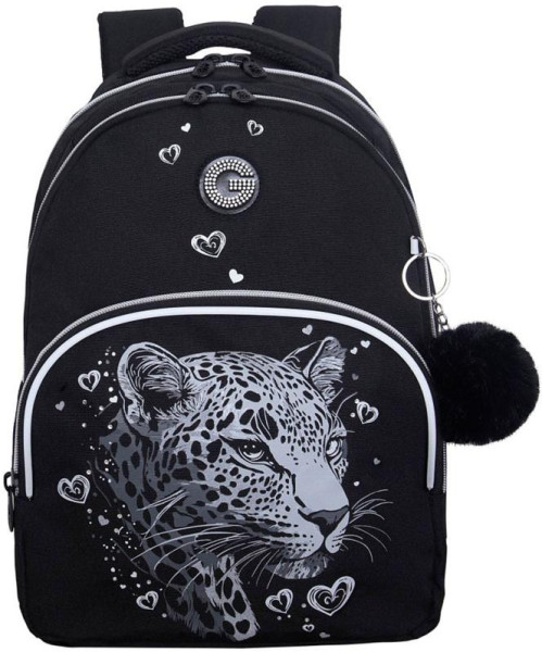 Рюкзак Grizzly школьный с обвесом RG-660-4/2 черный - серебро