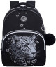 Рюкзак Grizzly школьный с обвесом RG-660-4/2 черный - серебро