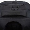 Рюкзак GRIZZLY RD-544-1/1 черный - золото