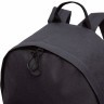 Рюкзак GRIZZLY RQL-317-6/1 черный