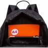 Рюкзак GRIZZLY RQL-317-6/1 черный
