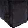 Рюкзак GRIZZLY RXL-423-2/1 черный