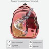 Рюкзак школьный RAz-386-9/1 персиковый