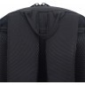 Рюкзак школьный GRIZZLY RG-464-3f/1 черный - фиолетовый