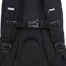 Рюкзак школьный GRIZZLY RG-464-3f/1 черный - фиолетовый
