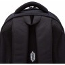Рюкзак школьный GRIZZLY RAz-587-11/1 хамелеон