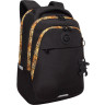 Рюкзак Grizzly с обвесом RD-640-3/3 черный - золотой